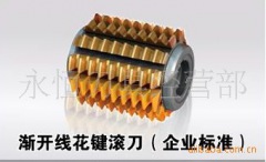 溫嶺市永恒刀具生產(chǎn)漸開線齒輪滾刀。m3α30A內(nèi)孔27物美價(jià)廉
